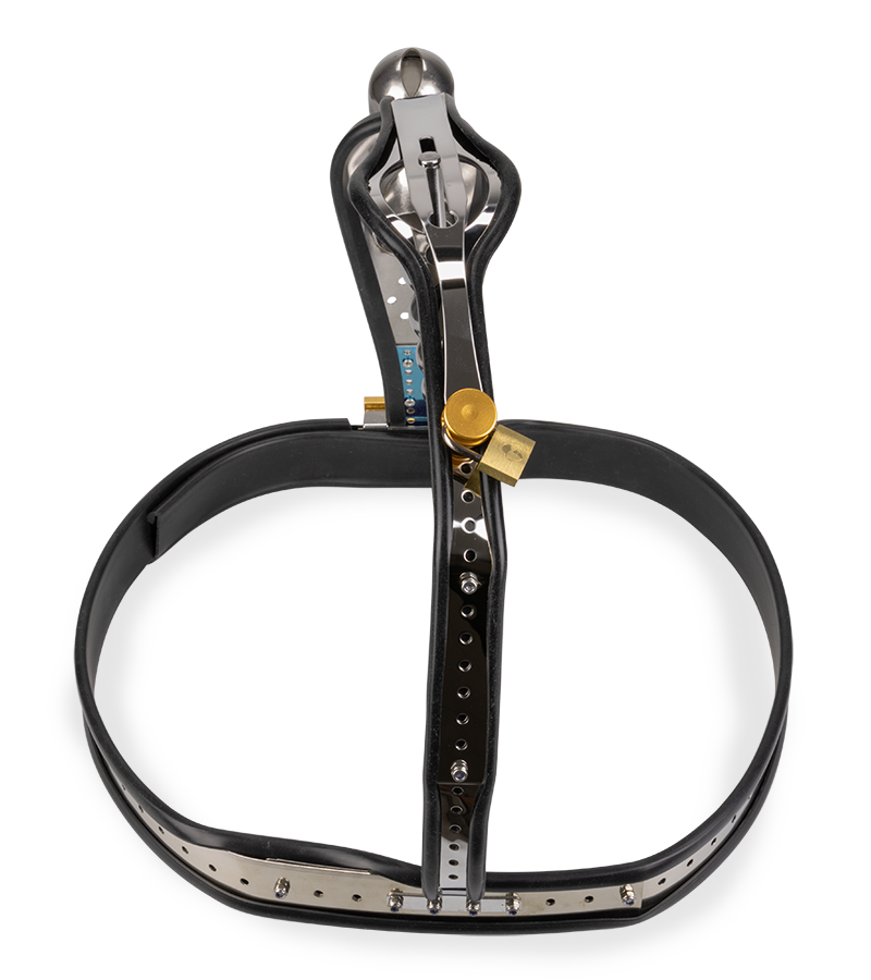 Ceinture de chasteté pour homme Enclosed