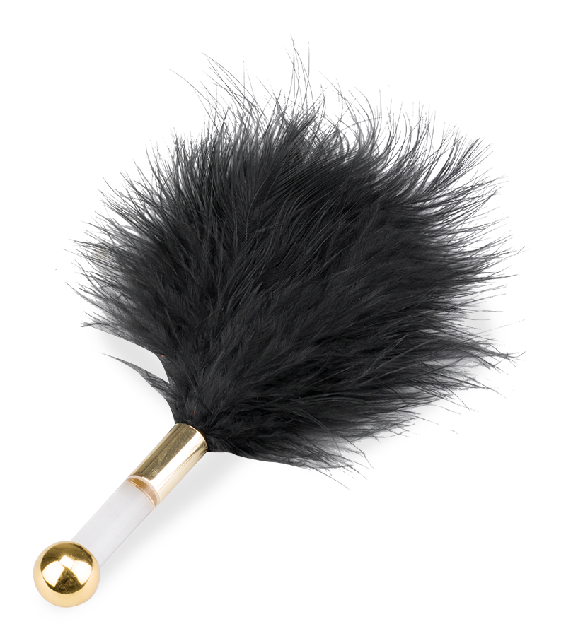 Coffret BDSM élégant 8 pièces