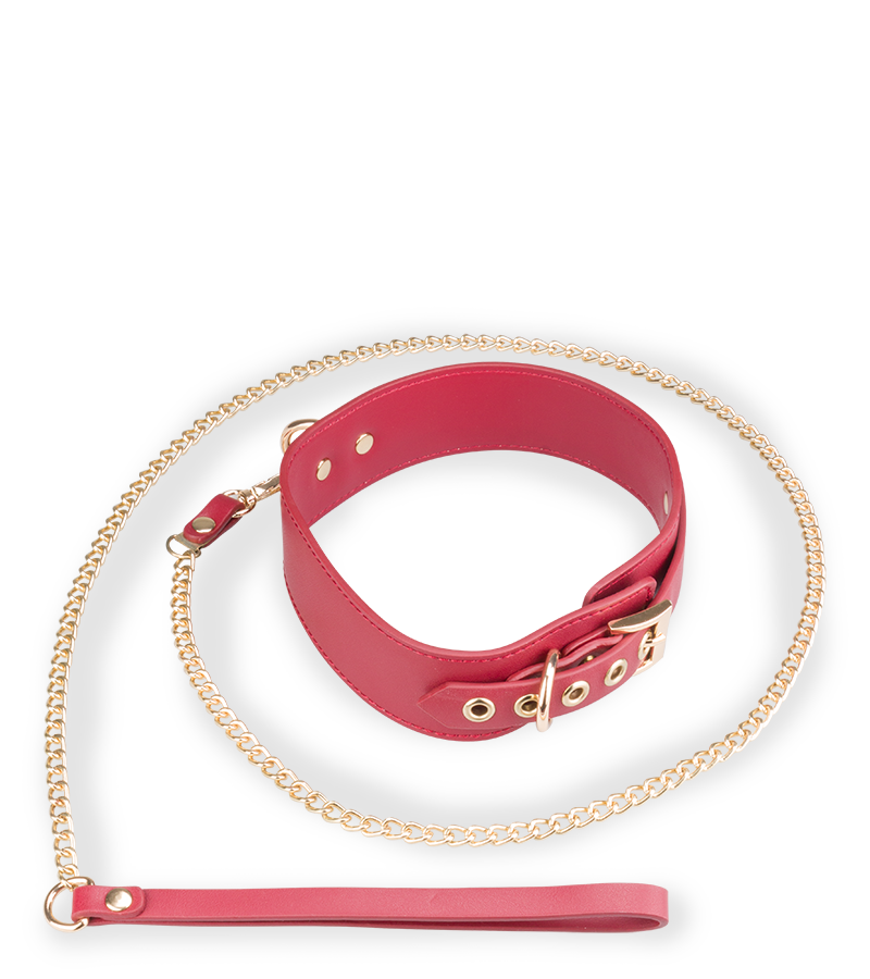 Coffret bondage de luxe avec sac de rangement