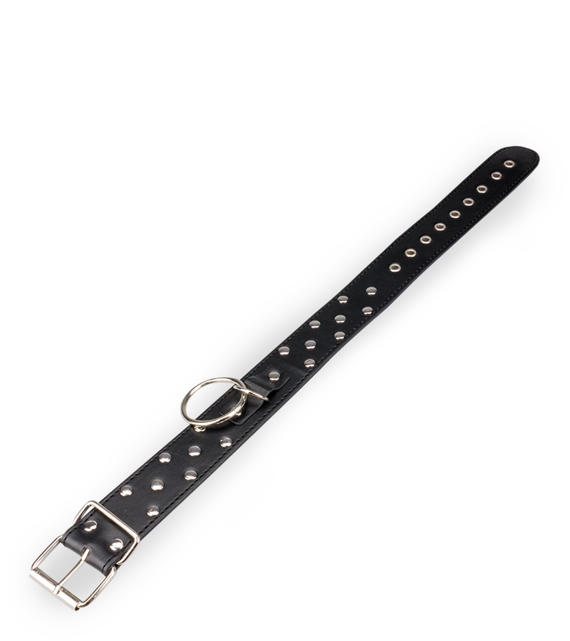 Collier BDSM rivets et anneaux avec laisse