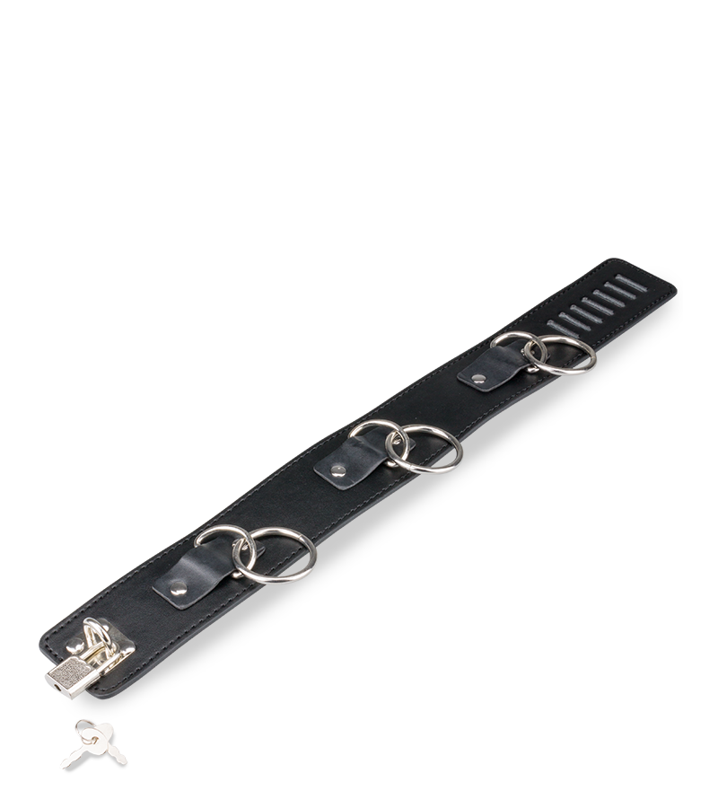 Collier cuir BDSM 3 anneaux + laisse