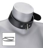 Collier cuir et laisse cuir BDSM