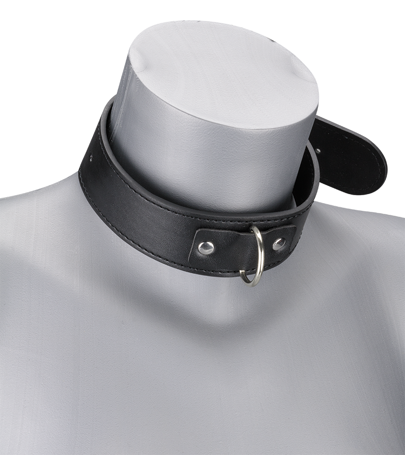 Collier cuir et laisse cuir BDSM