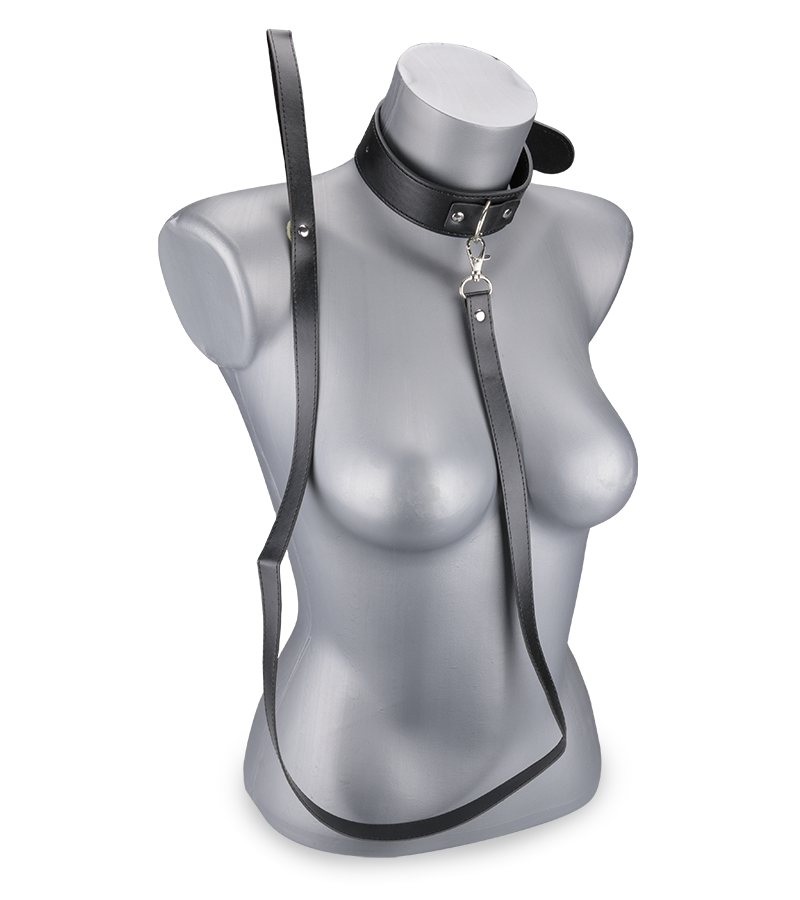 Collier cuir et laisse cuir BDSM