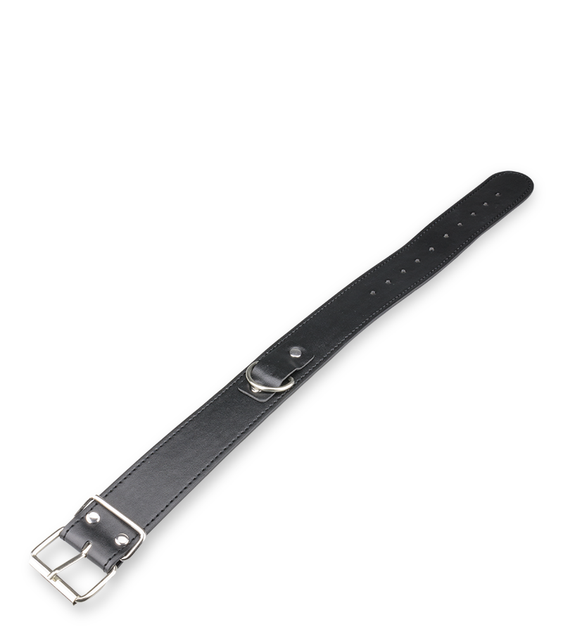 Collier cuir et laisse cuir BDSM