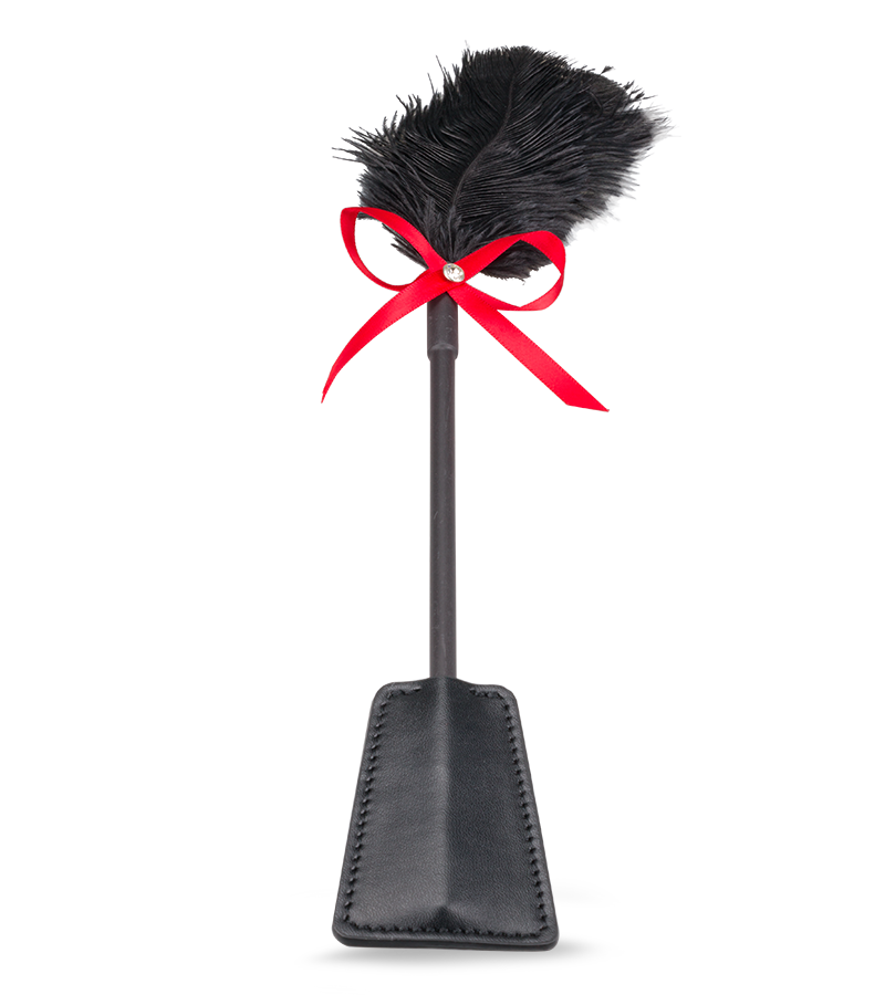 Cravache BDSM et plumeau 2-en-1