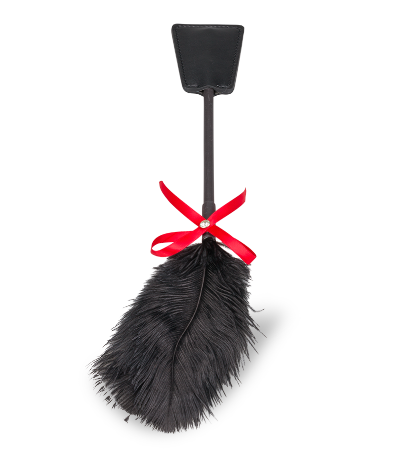 Cravache BDSM et plumeau 2-en-1