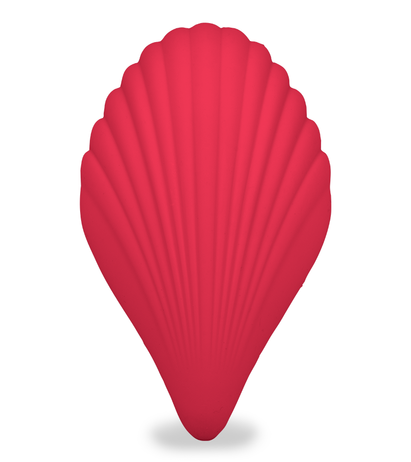 Culotte vibrante gode va-et-vient coquillage