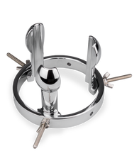 Charger l'image dans la galerie, Ecarteur d'anus plug Extender