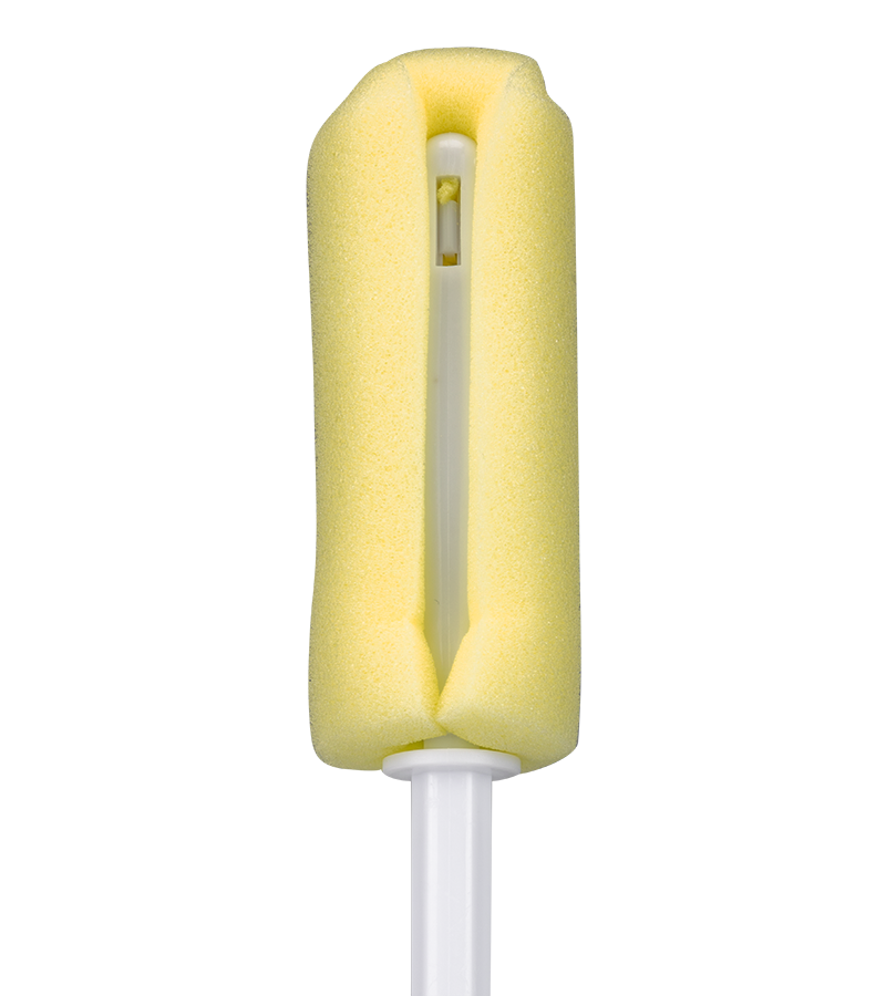 Éponge goupillon pour nettoyage de sextoy