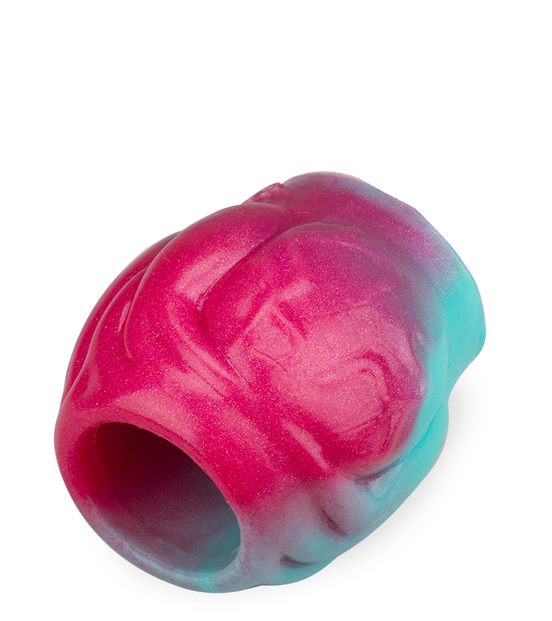 Étui pénien avec bulbe érectile chien