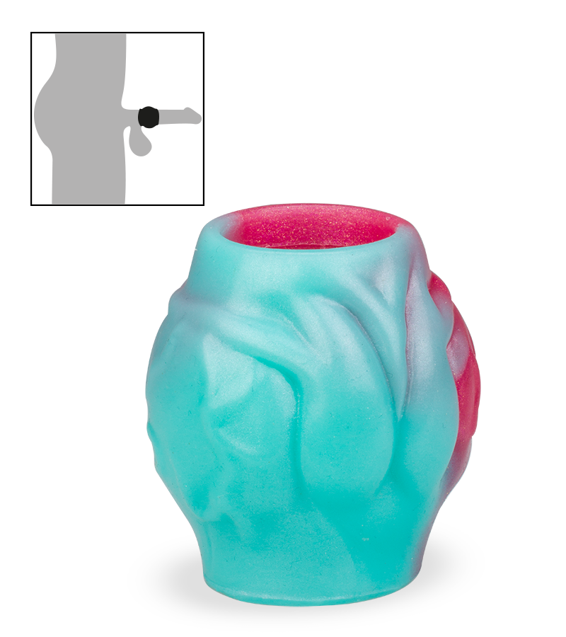 Étui pénien avec bulbe érectile chien