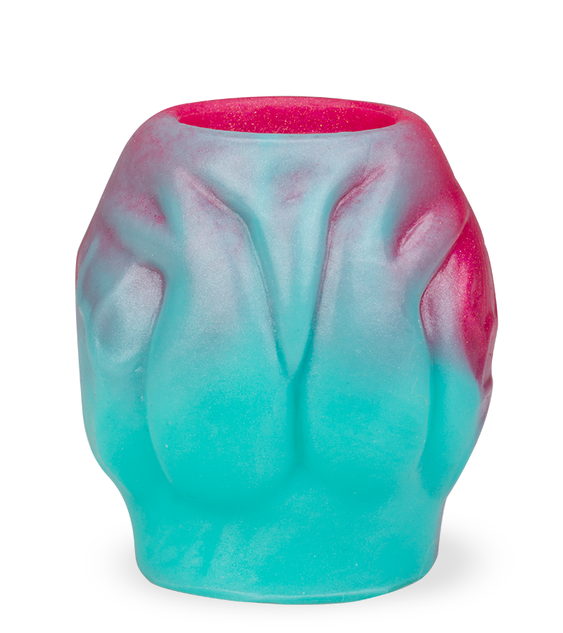 Étui pénien avec bulbe érectile chien