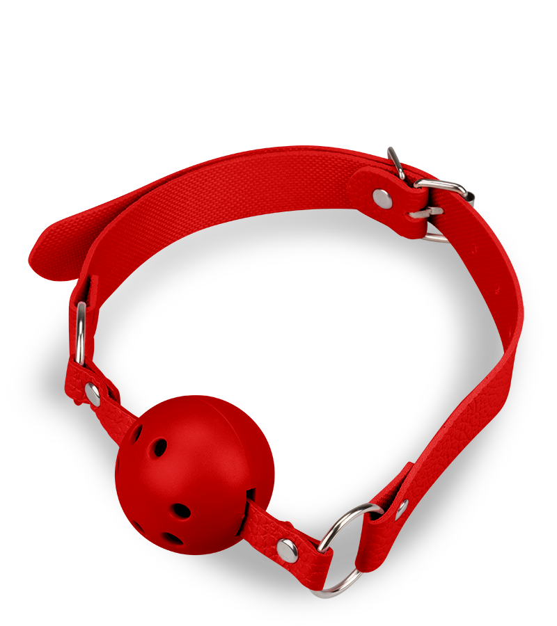 Kit BDSM bondage 8 pièces