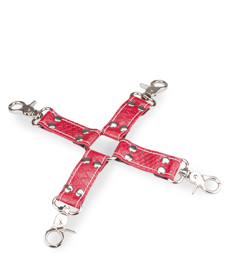 Kit d'initiation au BDSM similicuir et fourrure