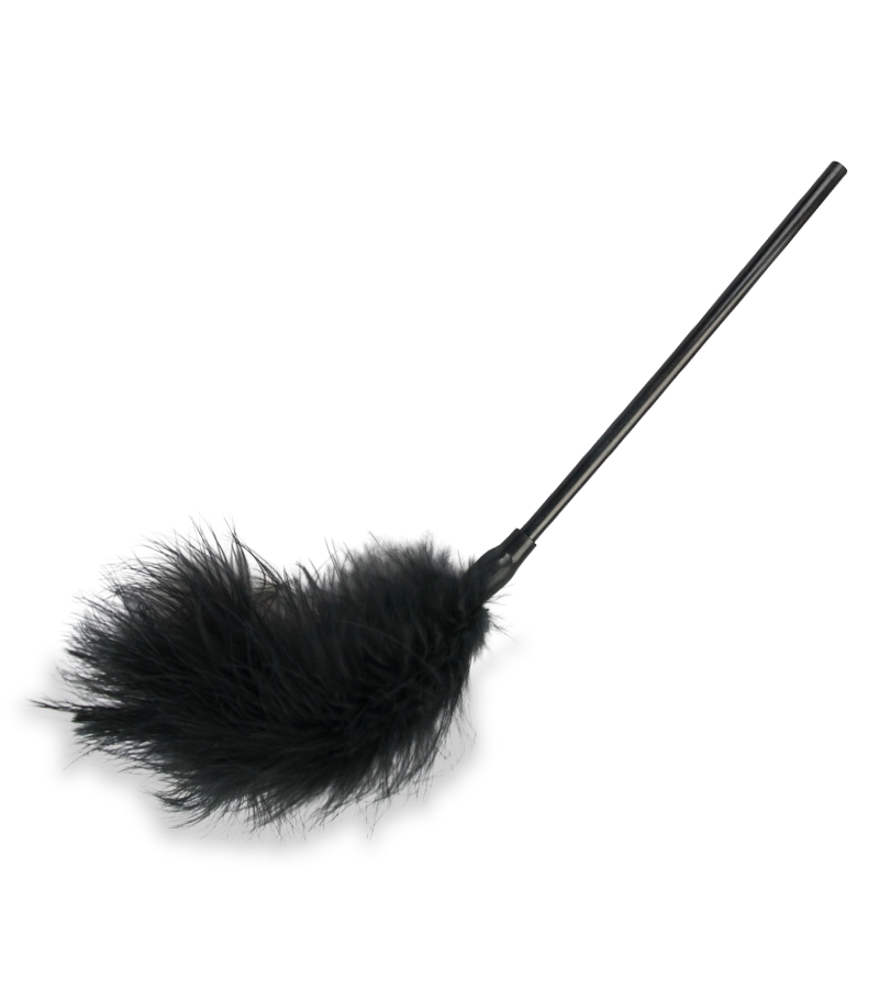 Kit jouets et accessoires bdsm 11 pièces