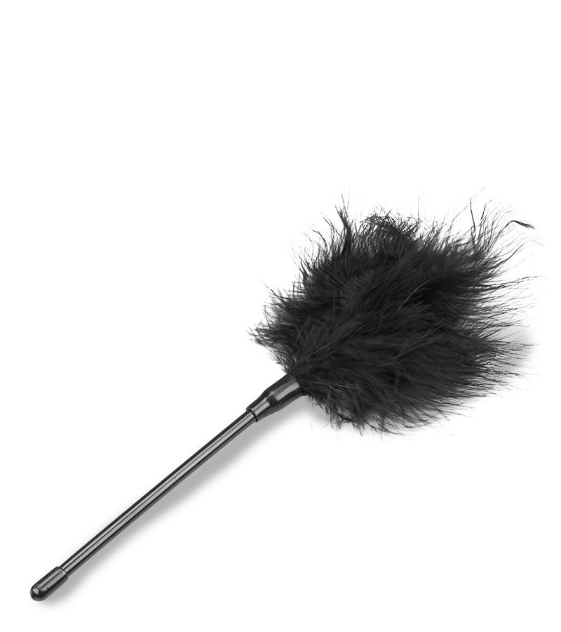 Kit jouets et accessoires bdsm 11 pièces