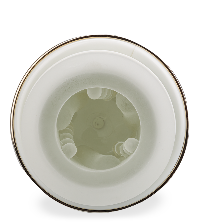 Masturbateur rotatif et va-et-vient avec fonction vocale California