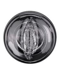 Charger l'image dans la galerie, Masturbateur rotatif ventouse