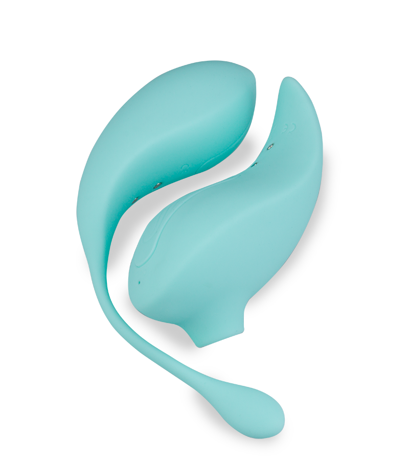 Oeuf vibrant avec télécommande aspire clitoris Namasté