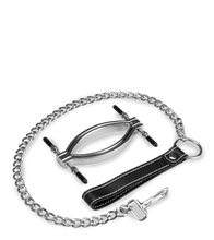 Charger l'image dans la galerie, Pince à vagin en acier inoxydable + laisse