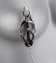 Charger l'image dans la galerie, Pinces à tétons avec petit seau