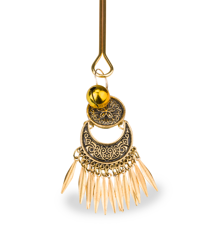 Pinces à tétons BDSM Audacity