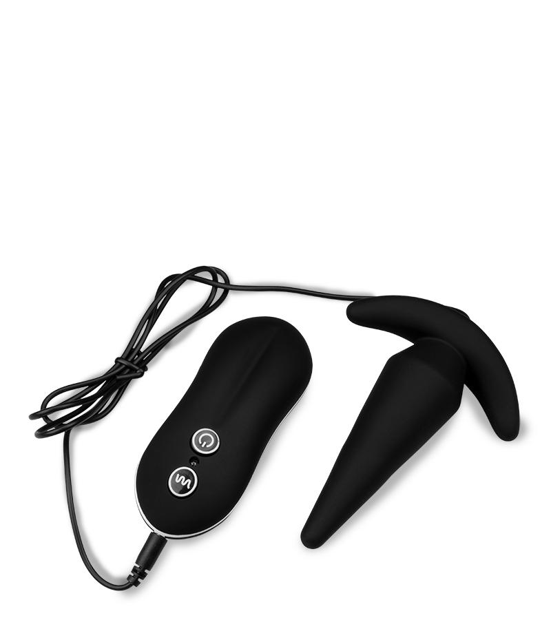 Plug anal ancre vibrant