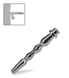 Plug d'urètre court Trinket