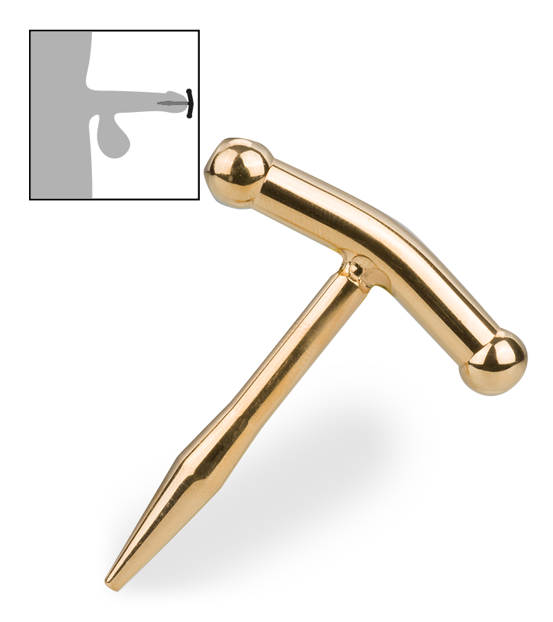 Plug d'urètre Stardust