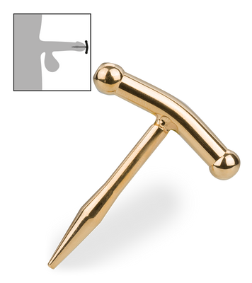 Plug d'urètre Stardust