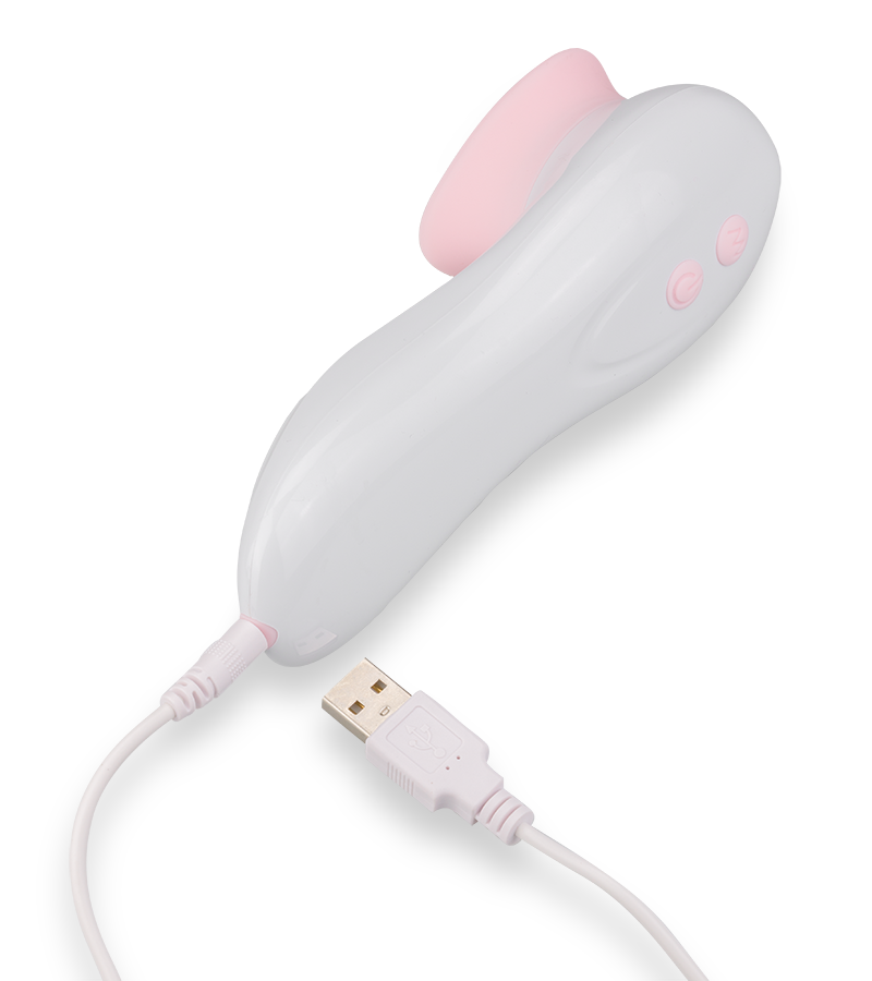 Stimulateur clitoris cunnilingus 10 modes USB