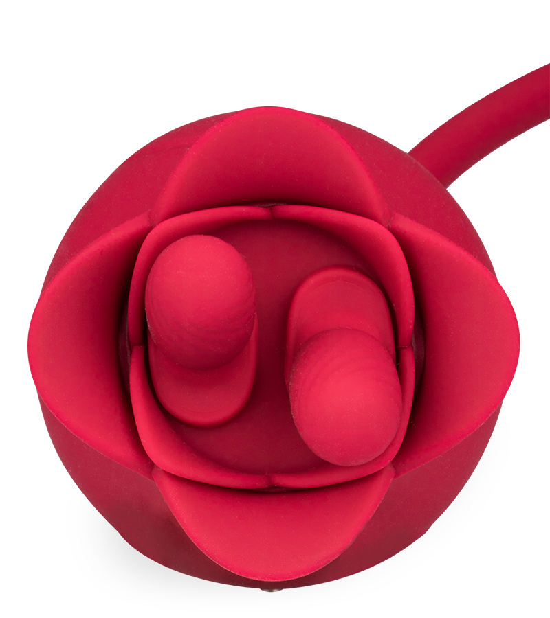 Stimulateur de clitoris avec vibromasseur va-et-vient Bora-Bora