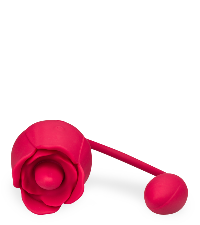 Stimulateur de clitoris langue et œuf vibrant Blooming