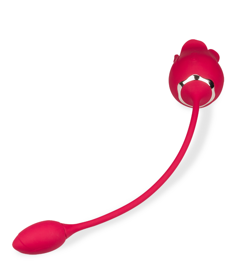 Stimulateur de clitoris langue et œuf vibrant Blooming