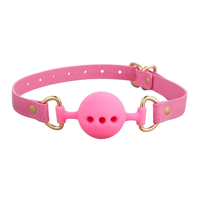 BDSM 11PCS - Kits de retenue en cuir 11 pièces