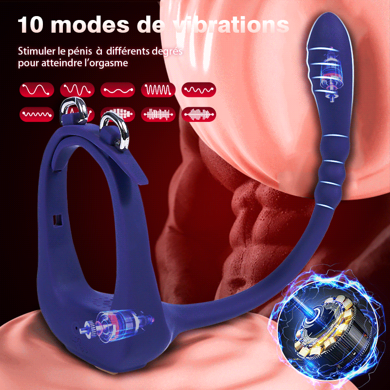 Seigneur des Anneaux 10 masseur anal vibrants avec cockring