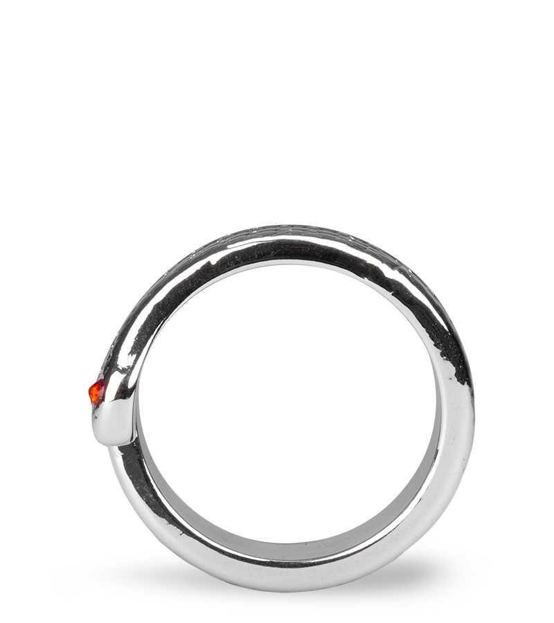 Anneau cockring en inox Medusa