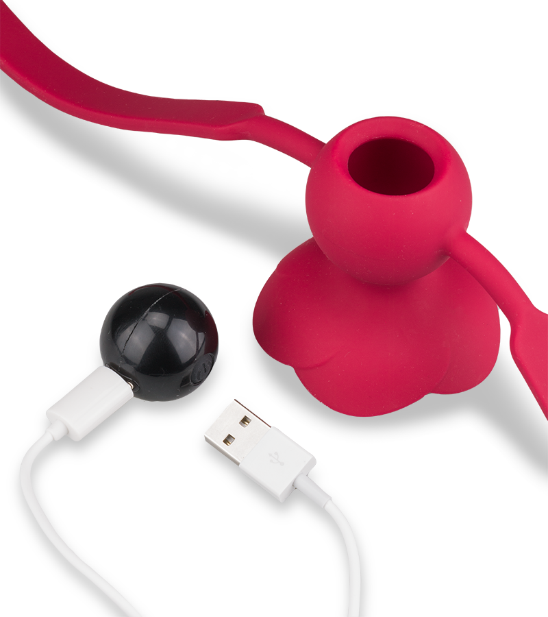 Bâillon avec gag-ball vibrante Rosie