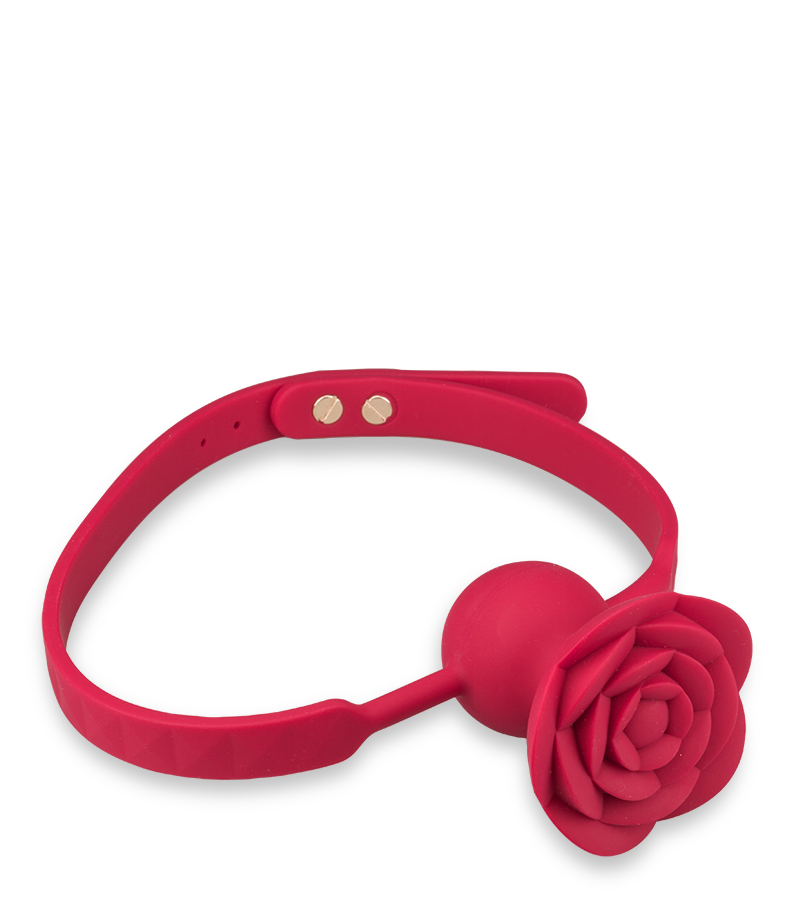 Bâillon avec gag-ball vibrante Rosie