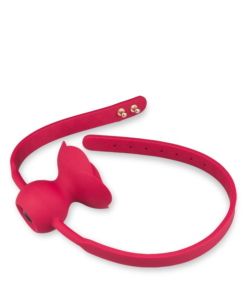 Bâillon avec gag-ball vibrante Rosie