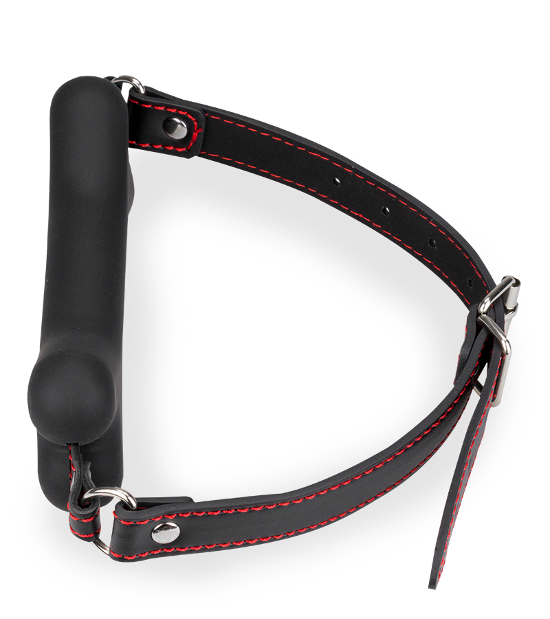 Bâillon os en silicone 15,0cm Puppy Play