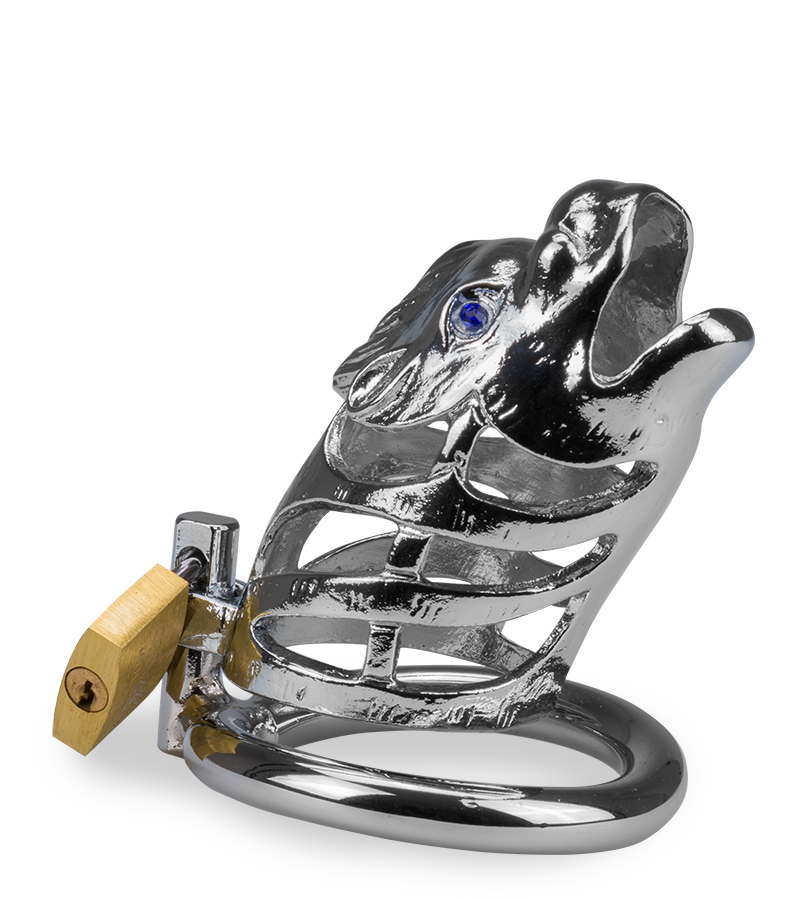 Cage à pénis astrologie chinoise Dragon