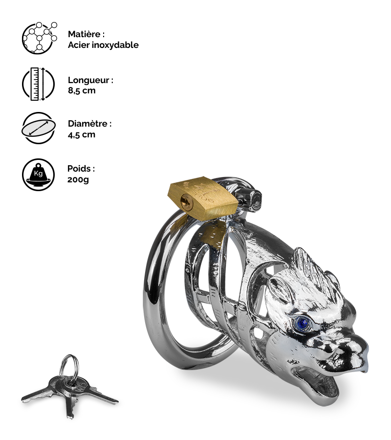 Cage à pénis astrologie chinoise Dragon