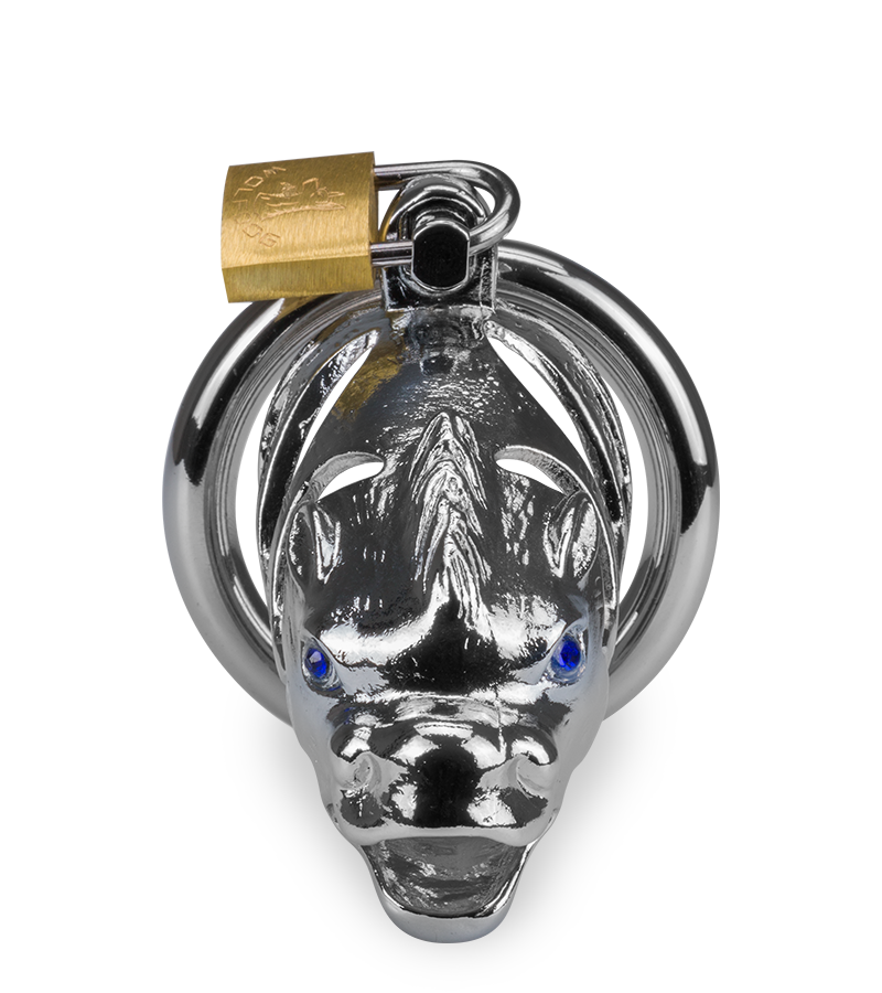 Cage à pénis astrologie chinoise Dragon