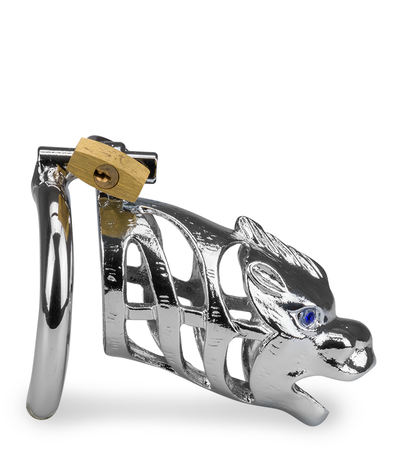 Cage à pénis astrologie chinoise Dragon