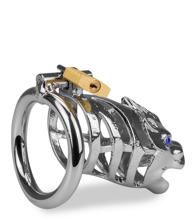 Cage à pénis astrologie chinoise Dragon