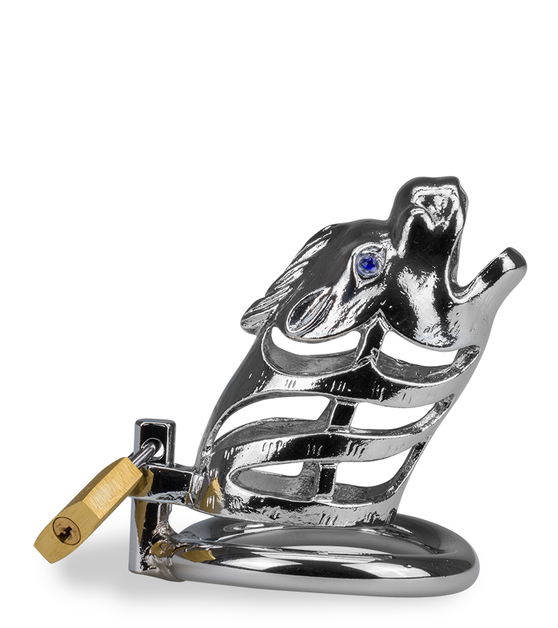 Cage à pénis astrologie chinoise Dragon