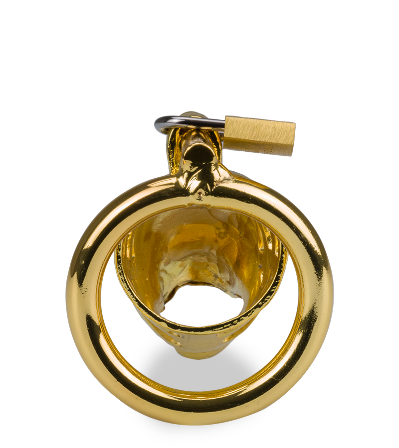 Cage à pénis astrologie chinoise Dragon Doré