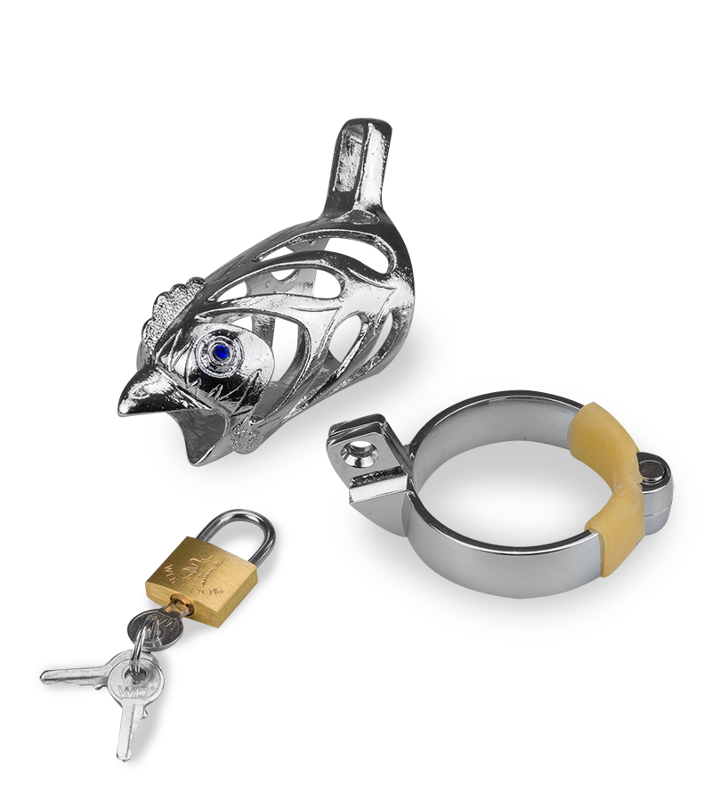 Cage de chasteté homme astrologie chinoise Coq